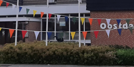 Een huwelijksjubileum dicht bij huis